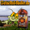 undefined Geiseltal-Radio