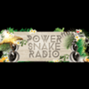 undefined power-snake-radio