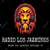 undefined Radiolosjazmines FM