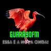 undefined RÁDIO GUARA90FM