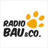 undefined Radio Monte Carlo - Radio Bau