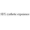 undefined SDX synthetic experience