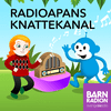 undefined P4 Radioapans knattekanal