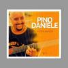 undefined Web Radio Network Pino Daniele