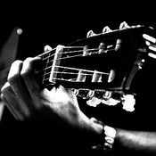 Radio Radio Caprice - Acoustic Guitar