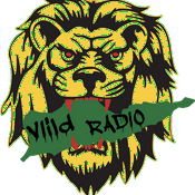 Radio ViiLD RADIO