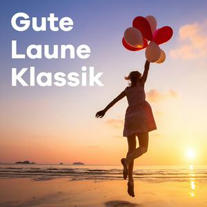 Höre Klassik Radio Feel Good Klassik in der App.