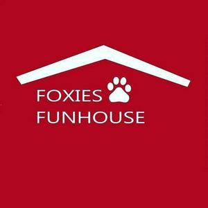 Höre foxies-funhouse in der App.