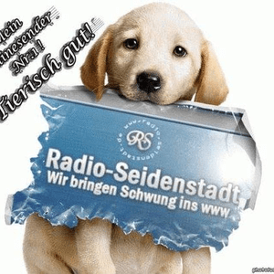 Höre radio-seidenstadt in der App.