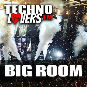 Höre Technolovers BIG ROOM in der App.