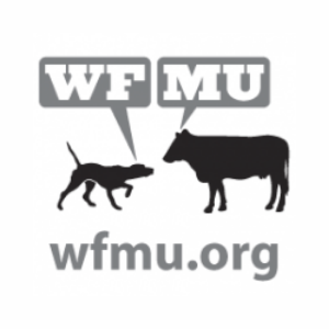 Höre WMFU FM 91.1 in der App.