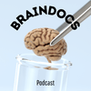 undefined BrainDocs