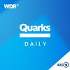 undefined Quarks Daily