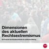 undefined Dimensionen des aktuellen Rechtsextremismus