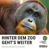 undefined Hinter dem Zoo geht's weiter - Der Naturschutzpodcast aus Frankfurt