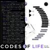 undefined Codes of Life | create yourself mit Human Design und Astrologie