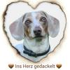 undefined Ins Herz gedackelt