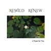 undefined ReWild ReNew Podcast