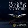 undefined Studying Sacred Scripture