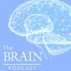 undefined The Brain Podcast