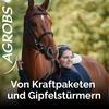 undefined Von Kraftpaketen und Gipfelstürmern: Der Reitsport Podcast