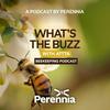 undefined What’s the Buzz with ATTTA Beekeeping Podcast