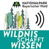 undefined Wildnis schafft Wissen