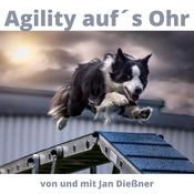 Podcast Agility auf´s Ohr