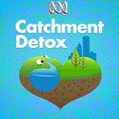 Podcast Catchment Detox