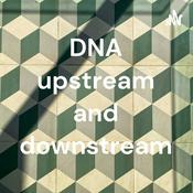 Podcast DNA upstream and downstream