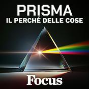 Podcast Focus Prisma - Il perché delle cose