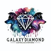 Podcast Galaxy diamond TALKs - Hund & Co. im Fokus