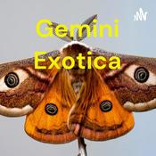 Podcast Gemini Exotica