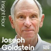 Podcast Insight Hour with Joseph Goldstein