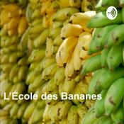 Podcast L'école des bananes - Fréquence Banane