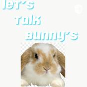 Podcast Let’s Talk Bunnys