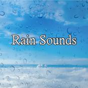 Podcast Nature Rain Sounds