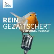 Podcast REINGEZWITSCHERT – der Vogel-Podcast