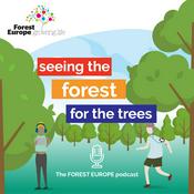 Podcast Seeing the forest for the trees