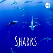 Podcast Sharks