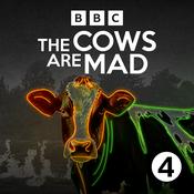 Podcast The Cows Are Mad