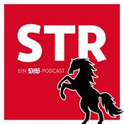 Podcast VfB STR