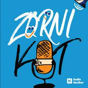 Podcast Zorni kot