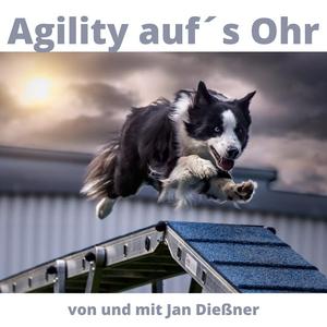 Höre Agility auf´s Ohr in der App.