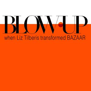 Höre BLOW-UP: When Liz Tilberis Transformed Bazaar in der App.