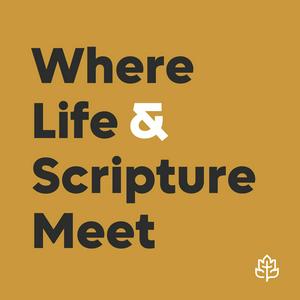 Höre CCEF Podcast: Where Life & Scripture Meet in der App.