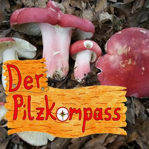 Höre Der Pilzkompass in der App.