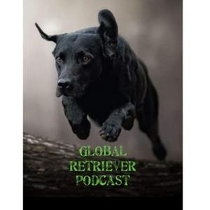 Höre Global Retriever Podcast in der App.