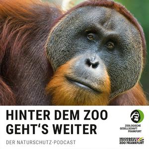 Höre Hinter dem Zoo geht's weiter - Der Naturschutzpodcast aus Frankfurt in der App.