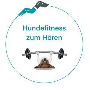 Höre Hundefitness zum Hören in der App.